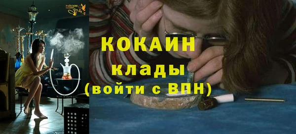 индика Балабаново