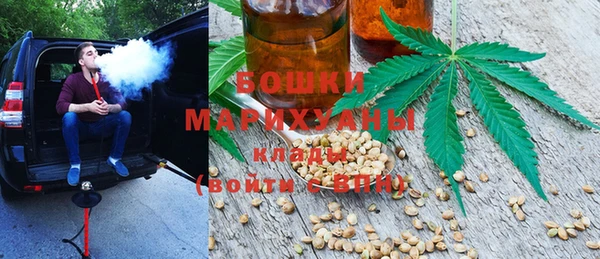 индика Балабаново