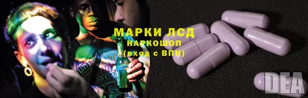 индика Балабаново