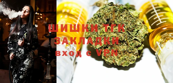 индика Балабаново