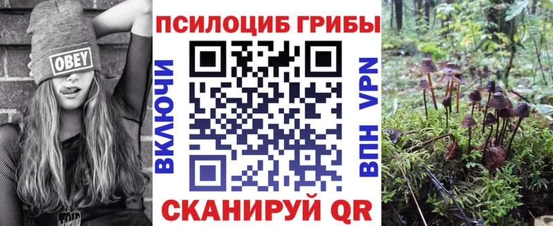 Галлюциногенные грибы MAGIC MUSHROOMS  маркетплейс какой сайт  Светогорск 
